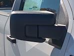 2024 Ford F-150 Regular Cab 4x2 Pickup for sale #24T2198 - photo 7