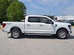 2024 Ford F-150 SuperCrew Cab 4x4 Pickup for sale #24T2433 - photo 4