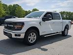 2024 Ford F-150 SuperCrew Cab 4x4 Pickup for sale #24T2433 - photo 7