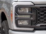 2024 Ford F-250 Crew Cab 4x4 Pickup for sale #24T298 - photo 9