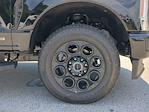 2025 Ford F-250 Crew Cab 4x4 Pickup for sale #25T1070 - photo 10