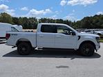 2025 Ford F-150 SuperCrew Cab 4x4 Pickup for sale #25T1138 - photo 4