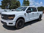2025 Ford F-150 SuperCrew Cab 4x2 Pickup for sale #25T1233 - photo 13