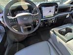 2025 Ford F-150 Regular Cab RWD Pickup for sale #25T1854 - photo 14