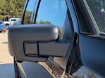 New 2025 Ford F-150 XLT SuperCrew Cab for sale #25T1924 - photo 11