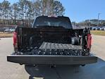New 2025 Ford F-150 STX SuperCrew Cab for sale #25T2003 - photo 14