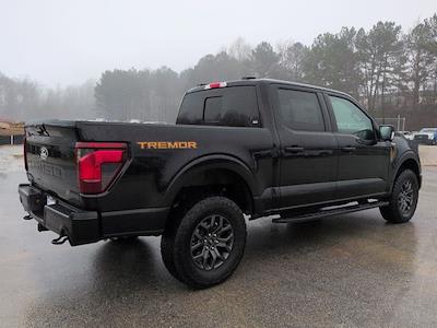 New 2025 Ford F-150 - photo 1