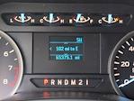 2020 Ford F-150 SuperCrew Cab 4x2 Pickup for sale #25T705N - photo 28