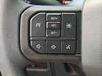 2025 Ford F-150 SuperCrew Cab 4x2 Pickup for sale #25T766 - photo 24