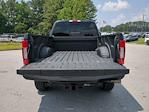 2022 Ford F-350 Crew Cab SRW 4x4 Pickup for sale #25T830A - photo 13