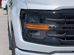 2025 Ford F-150 SuperCrew Cab 4x4 Pickup for sale #25T867 - photo 9