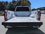 2024 Ford F-450 Crew Cab DRW 4WD Pickup for sale #26T030A - photo 14