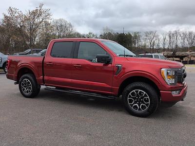 Used 2023 Ford F-150 - photo 1
