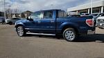 2014 Ford F-150 SuperCrew Cab RWD Pickup for sale #EFA43611T - photo 7