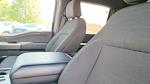 2022 Ford F-150 SuperCrew Cab 4WD Pickup for sale #NFB90298W - photo 18