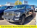 2023 Ford F-150 SuperCrew Cab 4WD Pickup for sale #PFA29321T - photo 20
