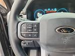 2023 Ford F-150 SuperCrew Cab 4WD Pickup for sale #PFA63434W - photo 13