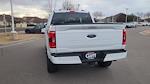 2023 Ford F-150 SuperCrew Cab 4WD Pickup for sale #PFD07730W - photo 10