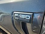 2023 Ford F-150 SuperCrew Cab 4WD Pickup for sale #PKD03351T - photo 6
