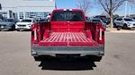 2024 Ford F-350 Crew Cab DRW 4WD Pickup for sale #REF22226 - photo 23