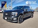 2024 Ford F-150 SuperCrew Cab 4WD Pickup for sale #RFA38551T - photo 20