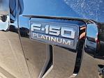 2024 Ford F-150 SuperCrew Cab 4WD Pickup for sale #RFA38551T - photo 11