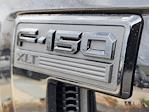 New 2024 Ford F-150 XLT SuperCrew Cab 4WD Pickup for sale #RKF19618 - photo 9