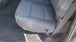 New 2024 Ford F-150 XLT SuperCrew Cab 4WD Pickup for sale #RKF75551 - photo 17