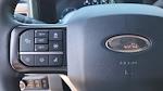 2025 Ford F-350 Crew Cab SRW 4WD Pickup for sale #SEC05144T - photo 16