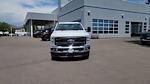 2025 Ford F-350 Crew Cab DRW 4WD Pickup for sale #SED11270 - photo 5