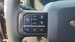 2025 Ford F-350 Crew Cab SRW 4WD Pickup for sale #SED94720 - photo 16