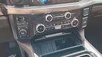 2025 Ford F-250 Crew Cab 4WD Pickup for sale #SEE01342 - photo 18