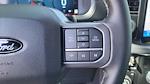2025 Ford F-150 SuperCrew Cab 4WD Pickup for sale #SFA27302 - photo 14