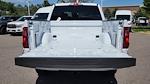 2025 Ford F-150 SuperCrew Cab 4WD Pickup for sale #SKE43859 - photo 23