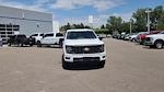 2025 Ford F-150 SuperCrew Cab 4WD Pickup for sale #SKE60717 - photo 6
