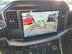 2025 Ford F-150 Regular Cab 4WD Pickup for sale #SKE92423T - photo 19