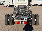 New 2025 Isuzu NPR-HD Regular Cab Cab Chassis for sale #S7023911 - photo 19