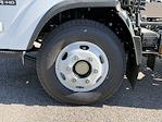 2025 Isuzu NPR-HD Regular Cab 4x2 Cab Chassis for sale #S7024045 - photo 25