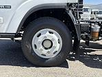 2025 Isuzu NPR-HD Regular Cab 4x2 Cab Chassis for sale #S7024238 - photo 24