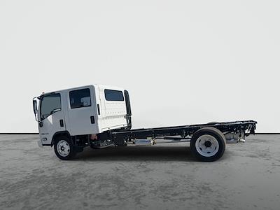 2025 Isuzu NQR Crew Cab 4x2 Cab Chassis for sale #SS506920 - photo 2