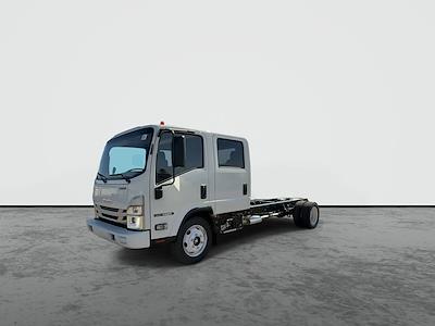 New 2025 Isuzu NQR Crew Cab Cab Chassis for sale #SS507717 - photo 1