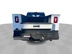 2024 Chevrolet Silverado 2500 Crew Cab 4WD Service Truck for sale #P25-272B - photo 7