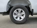 New 2024 Chevrolet Silverado 1500 Work Truck Regular Cab Pickup for sale #C140384 - photo 12