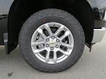 New 2025 Chevrolet Silverado 1500 LT Crew Cab 4WD Pickup for sale #C150163 - photo 12