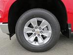 New 2025 Chevrolet Silverado 1500 LT Crew Cab Pickup for sale #C150205 - photo 14