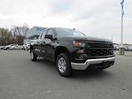 New 2025 Chevrolet Silverado 1500 Work Truck Double Cab Pickup for sale #C150245 - photo 10