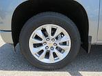 New 2025 Chevrolet Silverado 1500 Custom Crew Cab Pickup for sale #C150374 - photo 14