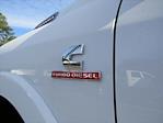 New 2025 Ram 3500 Limited Crew Cab for sale #R650182 - photo 15