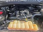 2018 Ford F-150 SuperCrew Cab 4x4 Pickup for sale #JKD55664 - photo 22