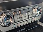 2020 Ford F-250 Crew Cab 4x4 Pickup for sale #LED84666 - photo 17